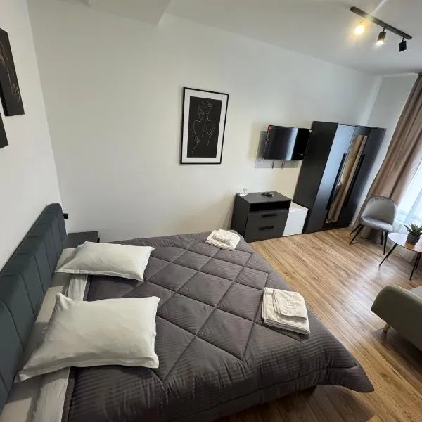 Pensiunea Luisa, hotel in Craiova