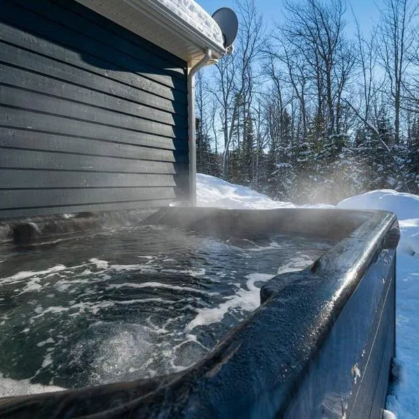 Le Boréal - 4CH avec Spa, Wi-Fi et Foyer, hotel en Petite-Rivière-Saint-François