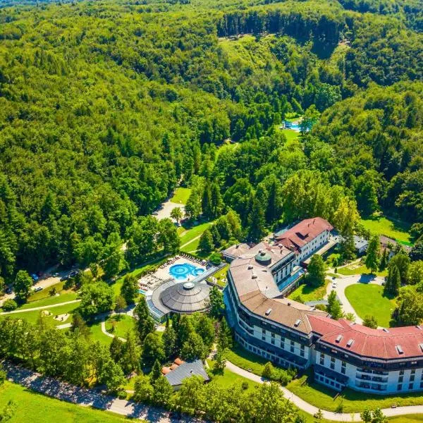 Hotel Toplice - Terme Krka, hotel in Smarjeske Toplice