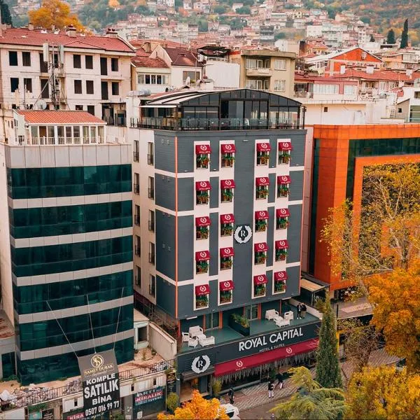 Royal Capital Thermal & Spa Hotel, hotel a Bursa