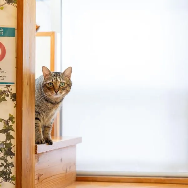 香川のゲストハウスFDroom, hôtel à Takamatsu