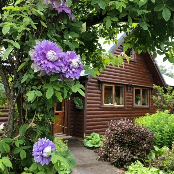 Fern Lodge. Drumcoura Lake Resort,、バリーナモアのホテル