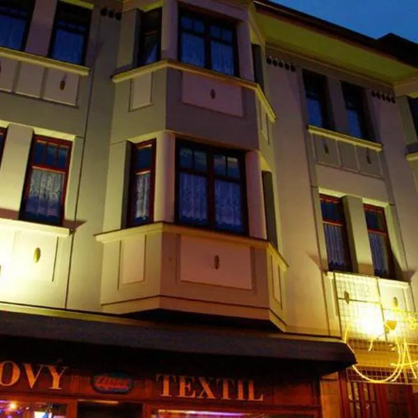 Penzion-Apex, hotel in Kdyně
