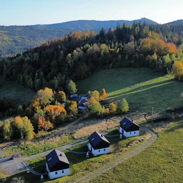 Domki Blisko Nieba I, hotel ve Visle