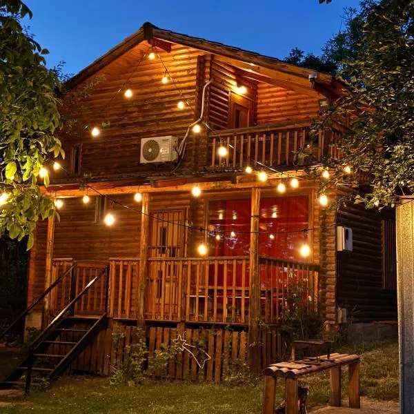 Villzone vila in Prishtina with big garden, Hotel in Pristina