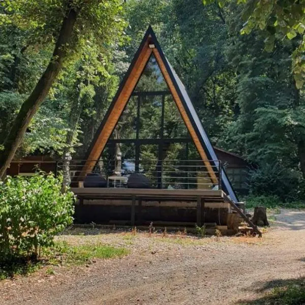 Woodnest, hotel in Čortanovci