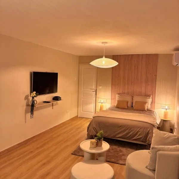 Oasis des hauts，位于圣丹尼斯的酒店