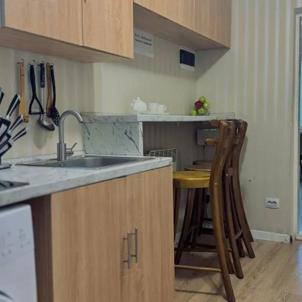 Hostel Buddha，位于基希讷乌的酒店