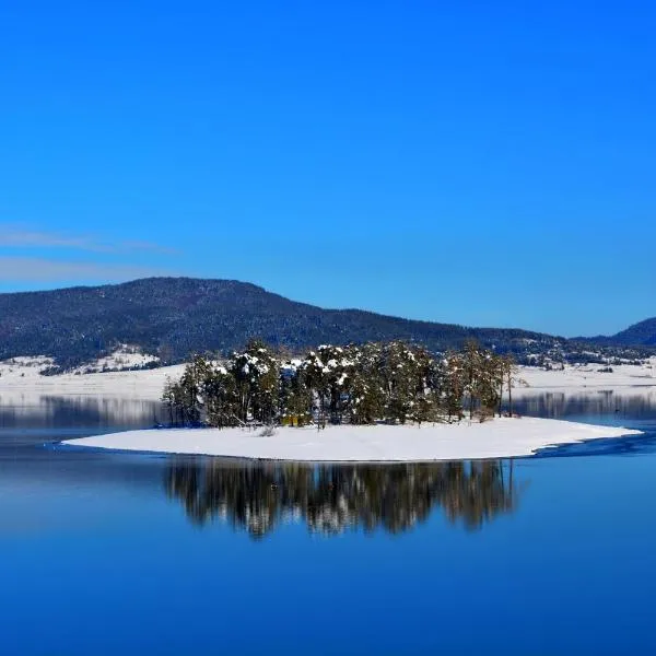 Villa Santa Maria, hotel in Tsigov Chark