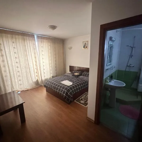 Pensiunea Artemis, hotel in Craiova