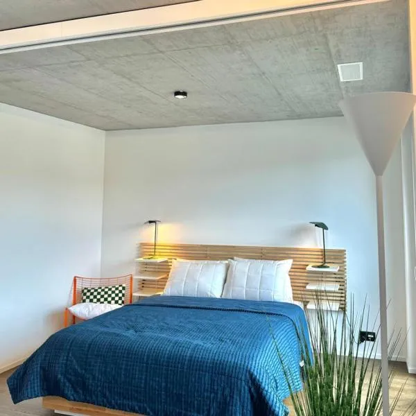 Studio 111 - Blue, ξενοδοχείο σε Aarau