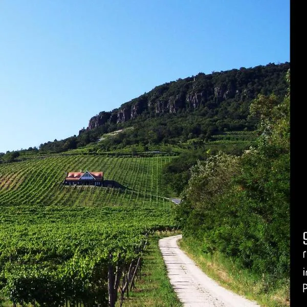 Sandahl Rezidencia – hotel w mieście Badacsonytomaj