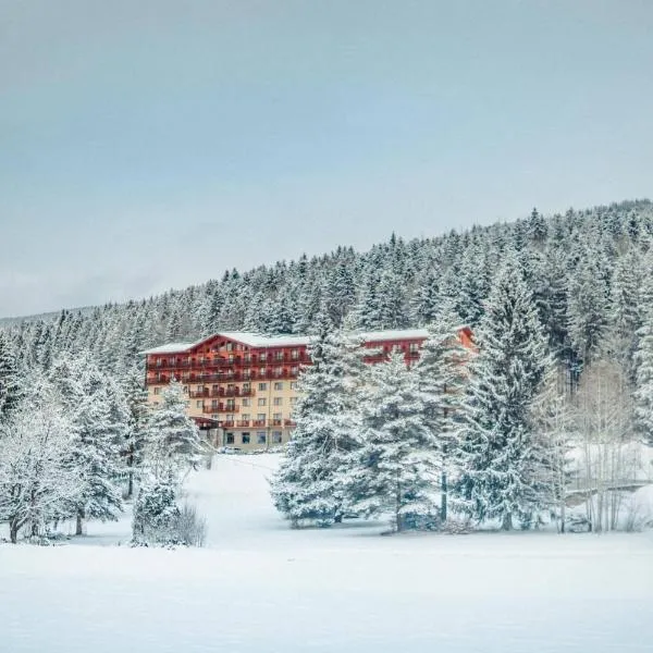 Hotel Partizán, hotel v destinaci Tale