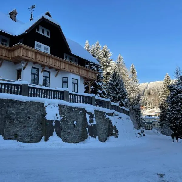 Apartmánový dům Jánský sen, hotel in Janske Lazne