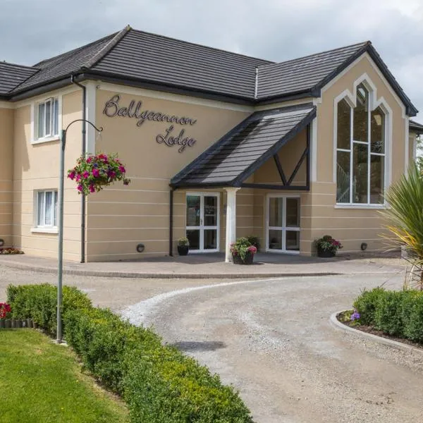 Ballycannon Lodge, hotel in Croagh