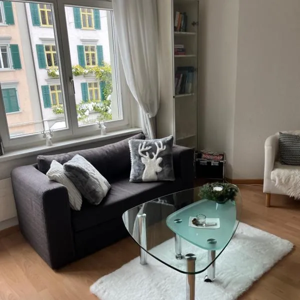 over-night City-Flat, hotel in St. Gallen