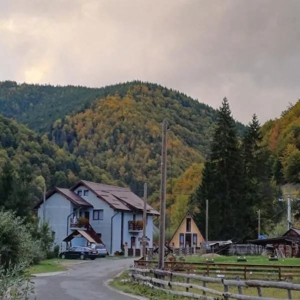 Cabana Acasă la Delia, hotel a Gîrda de Sus