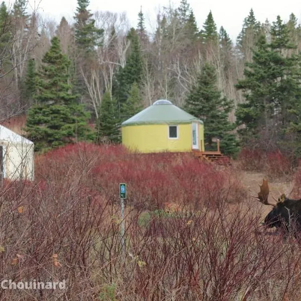 Yourtes Forillon - à 4km de marche 4km walk, hotel in Gaspé