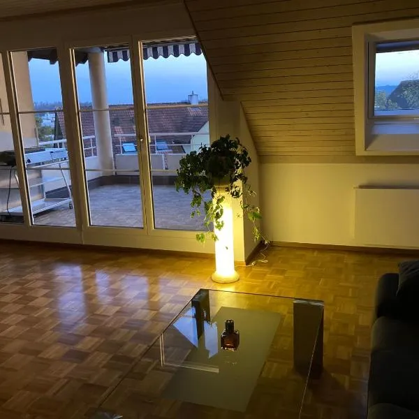 1 WG Zimmer, Wohnzimmer mit Kamin, Küche voll ausgestattet, großer Balkon mit Ausblick，位于沙夫豪森的酒店