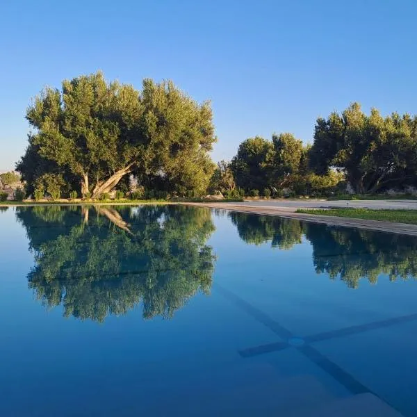 Villa Coriandre, hotel in Essaouira