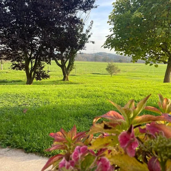 FeWo - Natur, Ruhe und Erholung, Hotel in Wangen im Allgäu