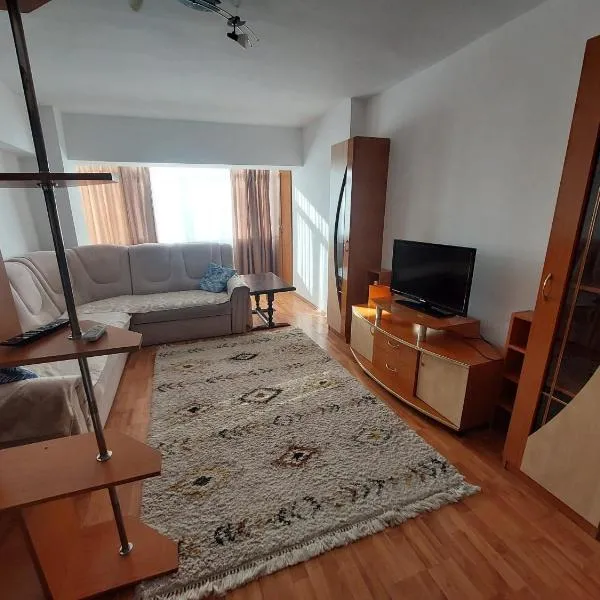 Cazare apartament Craiova, hotel en Craiova