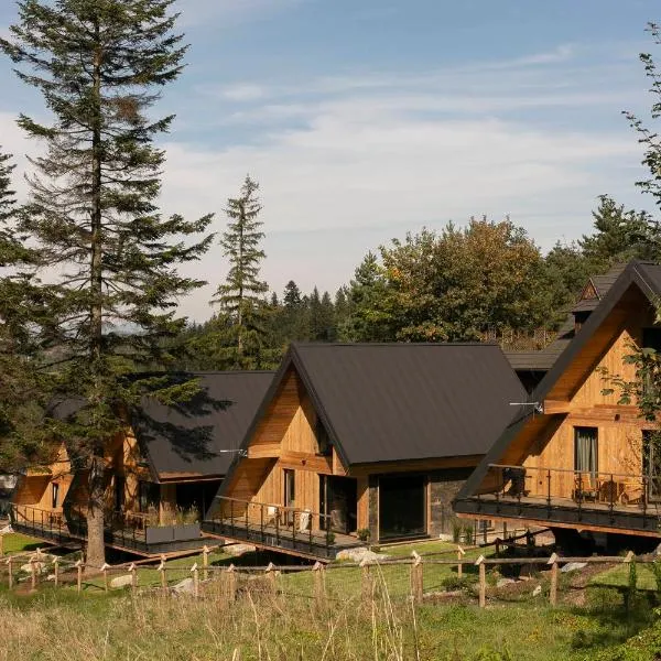 The Sopa - heritage premium houses: Zakopane'de bir otel