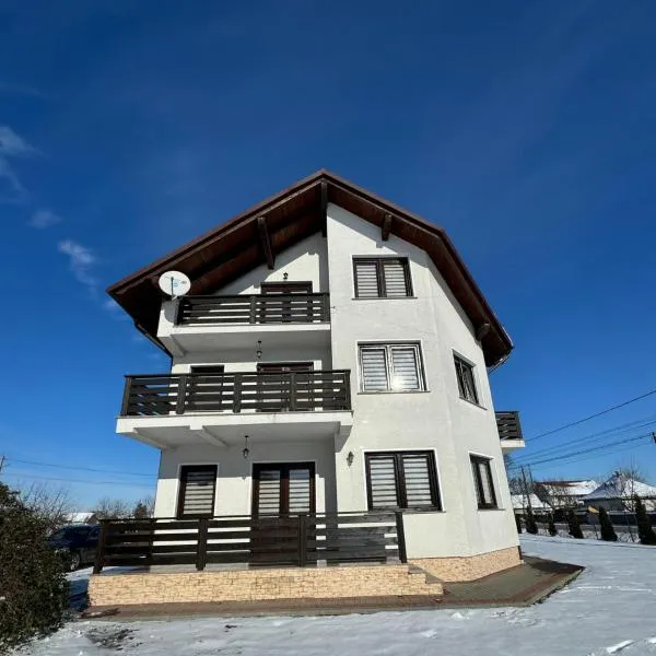 Pensiunea Elena、Frătăuţii Vechiのホテル