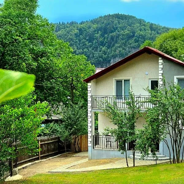 Cottage Timotea，位于博尔若米的酒店