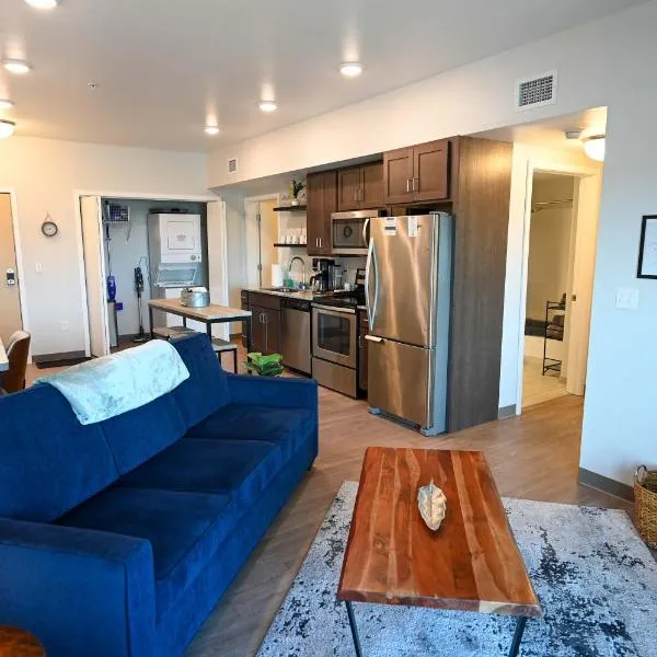 2 Bedroom Brand New Apartment Near Mayo, Park Free, hotel in Rochester