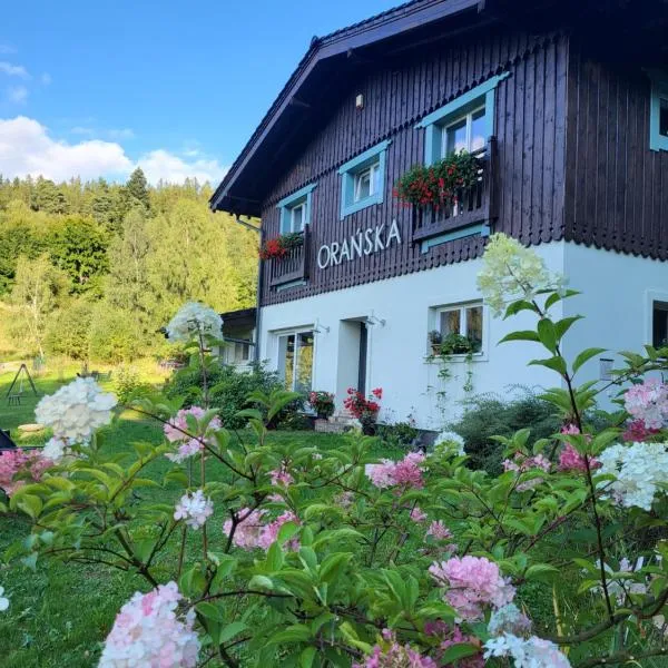 Orańska, ξενοδοχείο σε Miedzygorze
