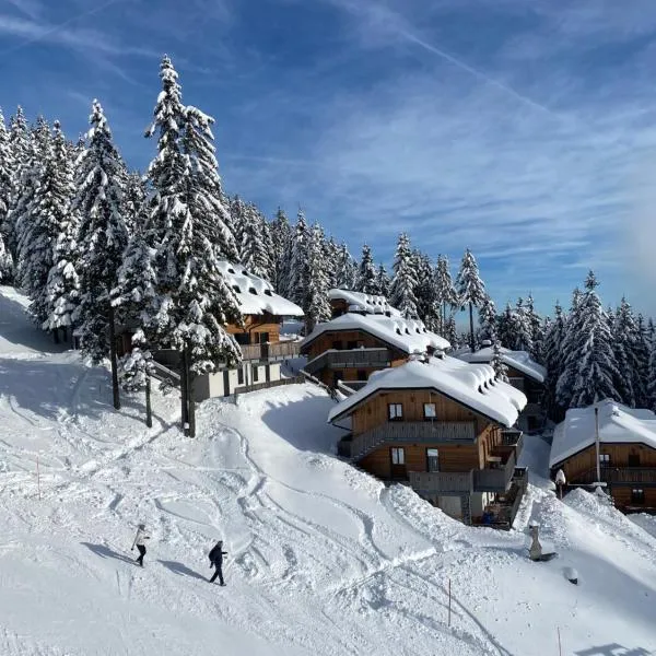 Alpine Escape Golte Apartment, hotel in Mozirje