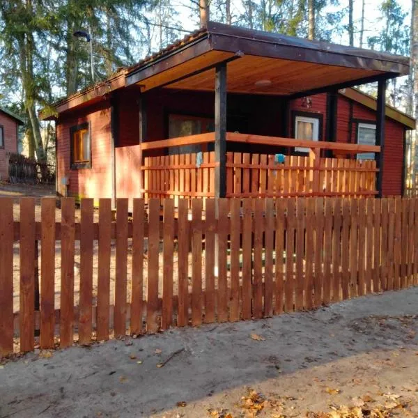 Oleandria-,, Domek Mięta", hotel en Biskupiec