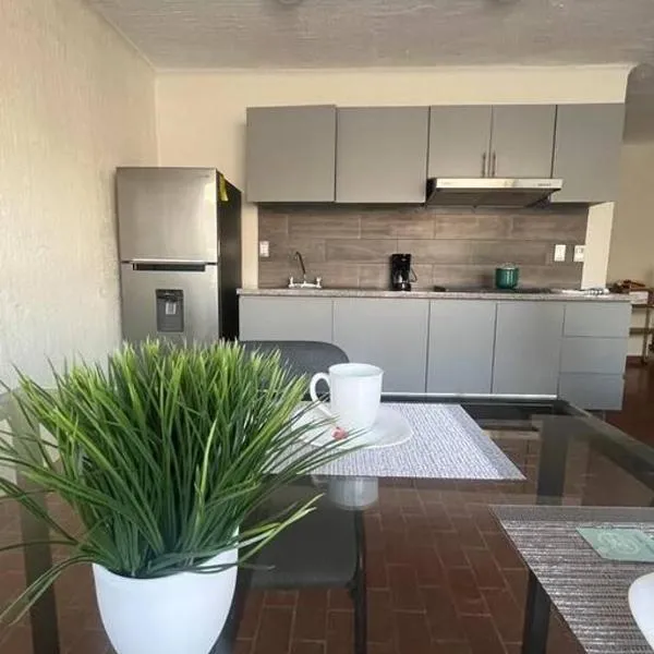 Morelos 67 Apartment, hotel in La Piedad Cavadas