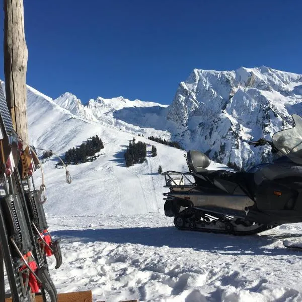 Appartement Coeur De Chalet, hotel in Manigod