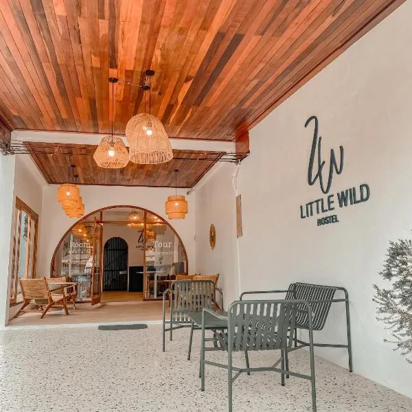 Little wild hostel khaosok,位于考索的酒店