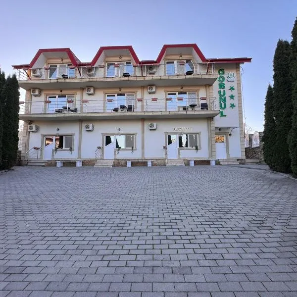 Hotel Gorunul, hotel in Hunedoara