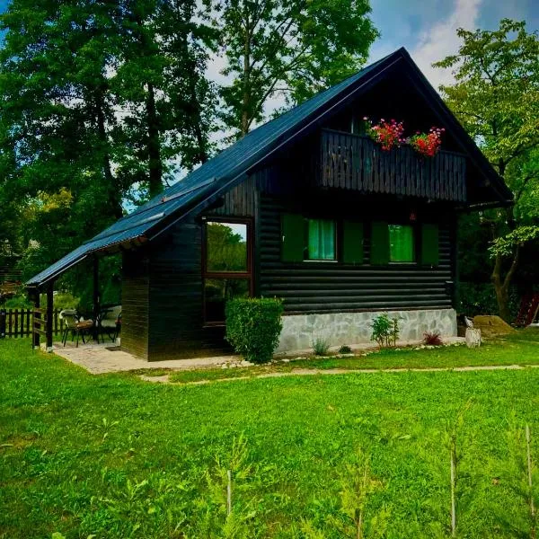Apartma Dobnik，位于莫济列的酒店