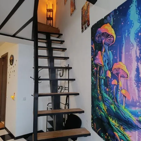 Soko Aura，位于古多里的酒店