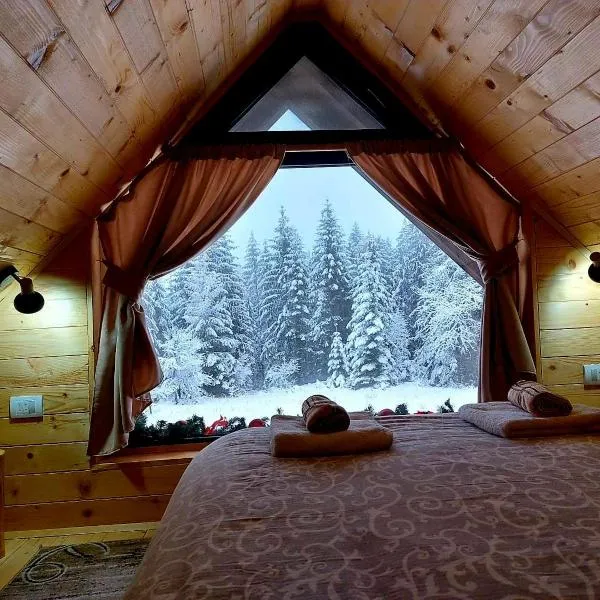 Brvnara Miris Bora, hotel a Šljivovica