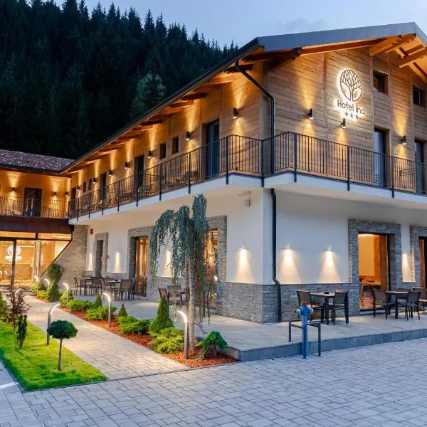 Hotel INA, hotel v destinaci Borşa