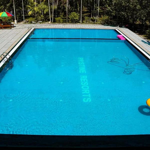 PRISTINE BEACH RESORT, hotel in Diglipur