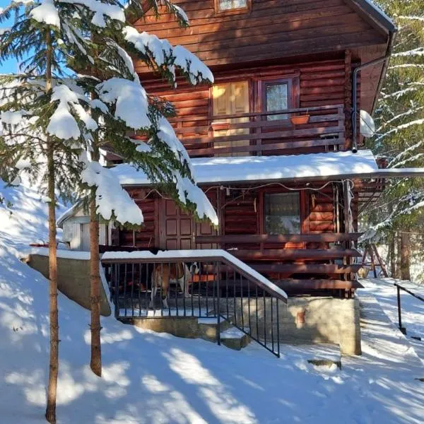 Cabana Dochita 2, ξενοδοχείο σε Ceahlau