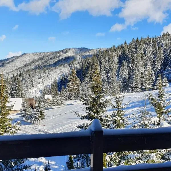 Vlašićka ruža Eko FIS 303, Hotel in Vlašić