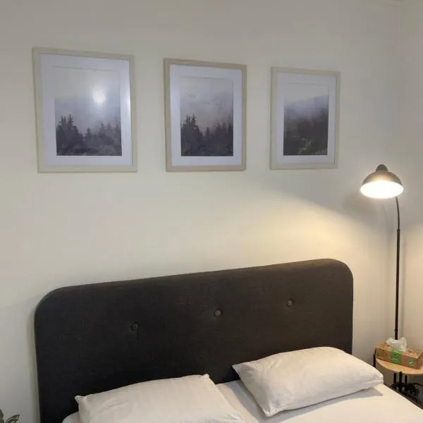 Kosenko apartments, ξενοδοχείο σε Ζιτόμιρ