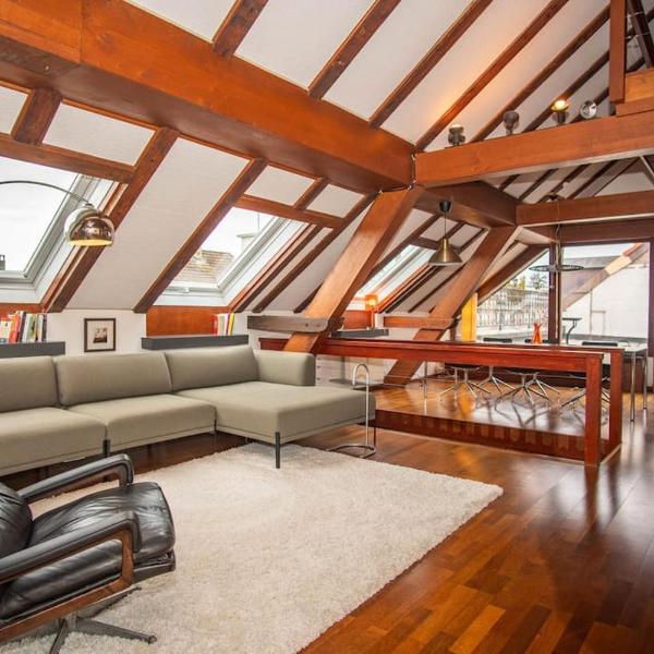 Penthouse in Basel Center with free BaselCard, Basilej