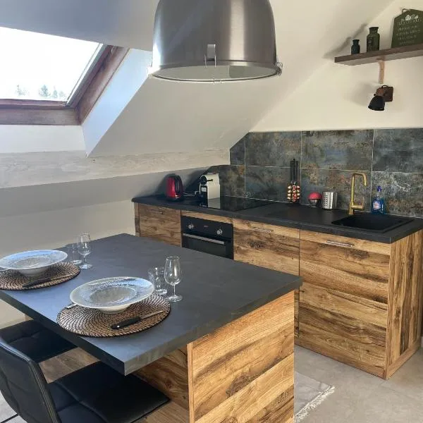 Appartement avec garage privé, hotel in Saint-Laurent-en-Grandvaux