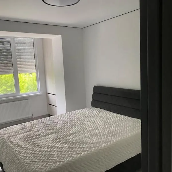 Chirie apartament, готель у місті Căuşeni