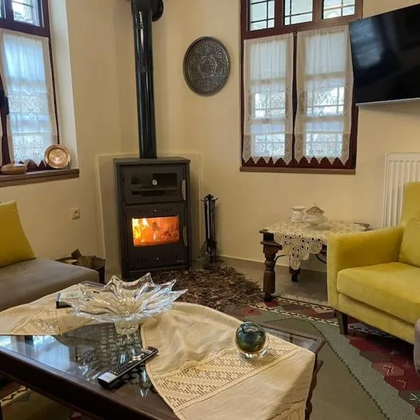 Petrini Armonia, Vitsa Zagori, hotel in Vitsa