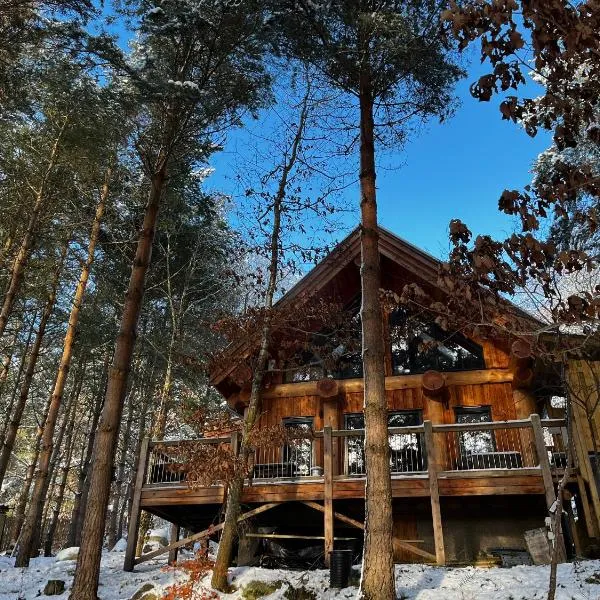 Pine Marten Lodge,位于斯佩河畔格兰敦的酒店